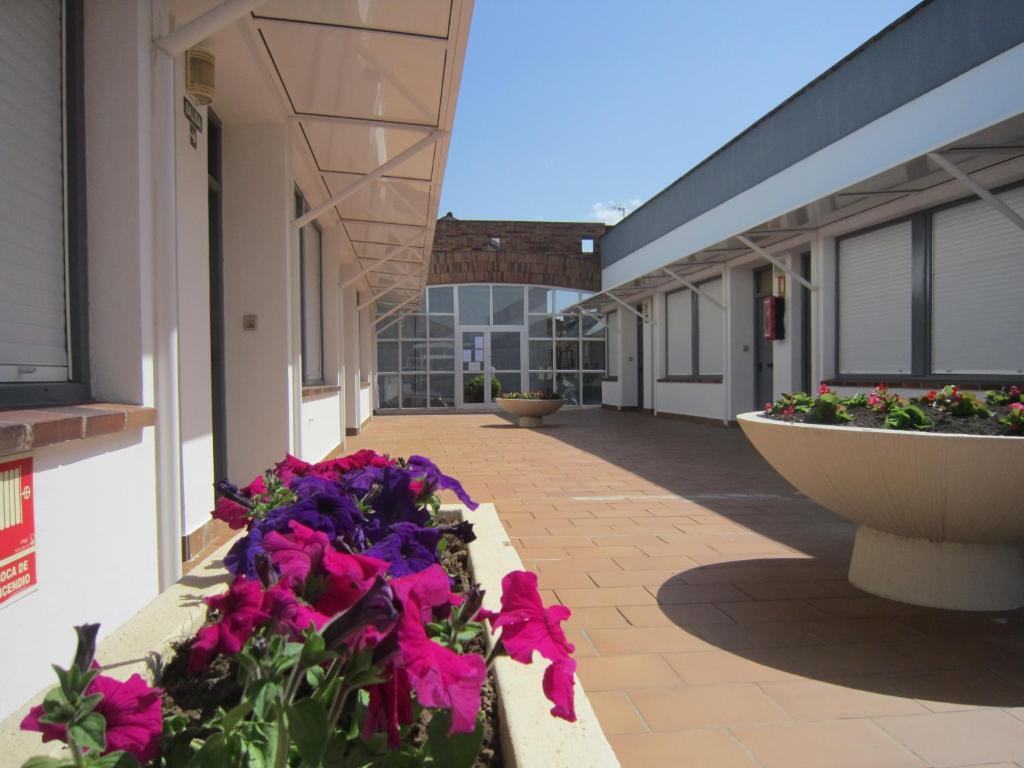 Apartamentos Elena Laredo Exteriér fotografie